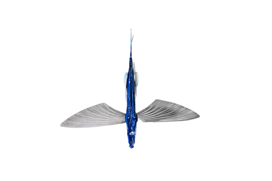 Medium Floating