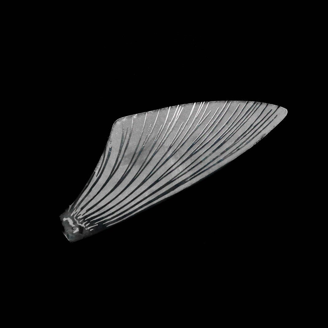SeaMonster replacement wings – flat lay product shot
