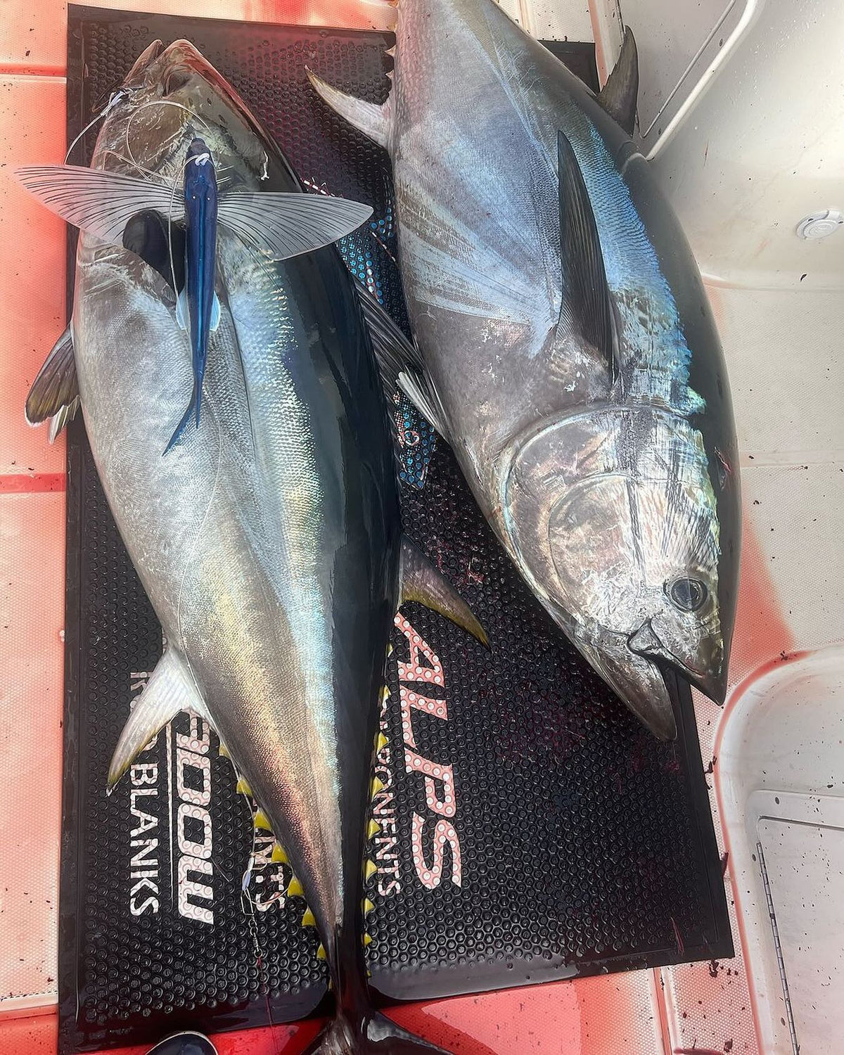 Shop SeaMonster Tackle