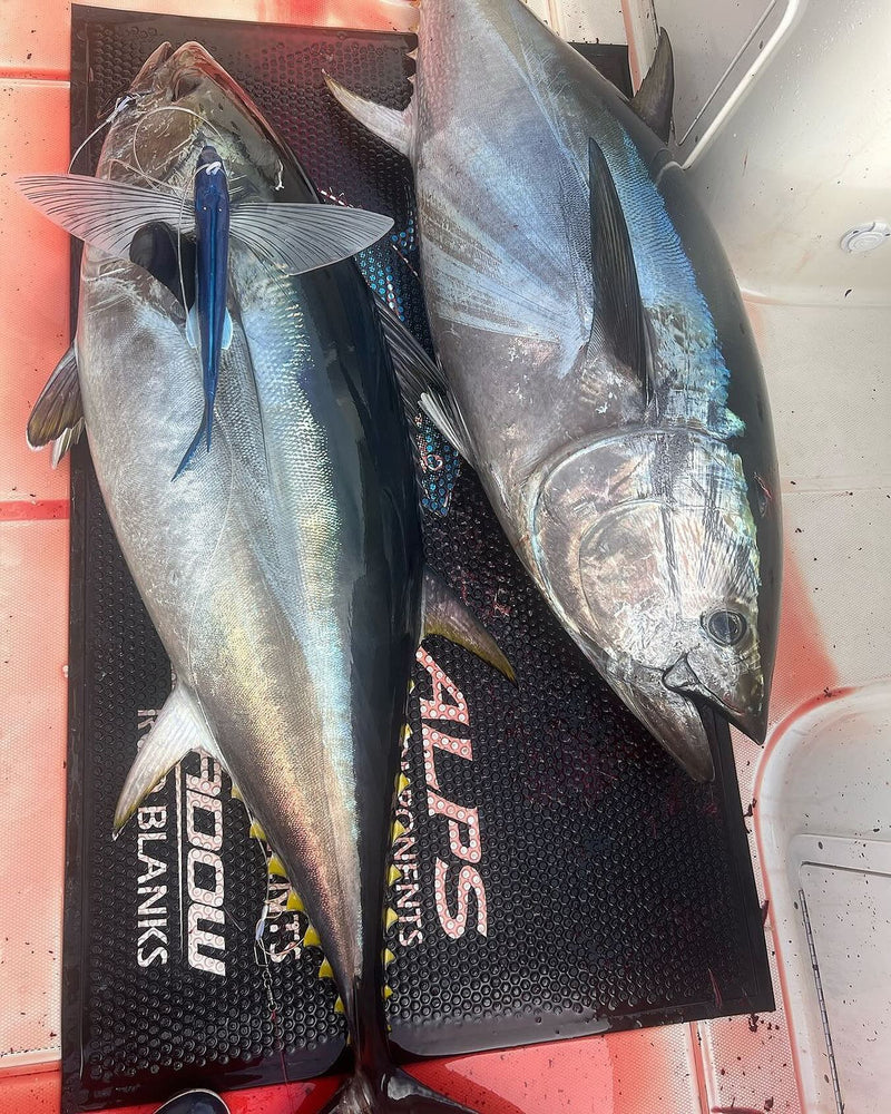 Yellowfin Tuna