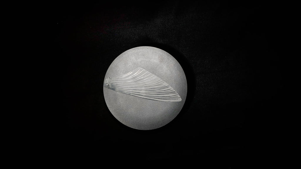 SeaMonster replacement wings – detail view
