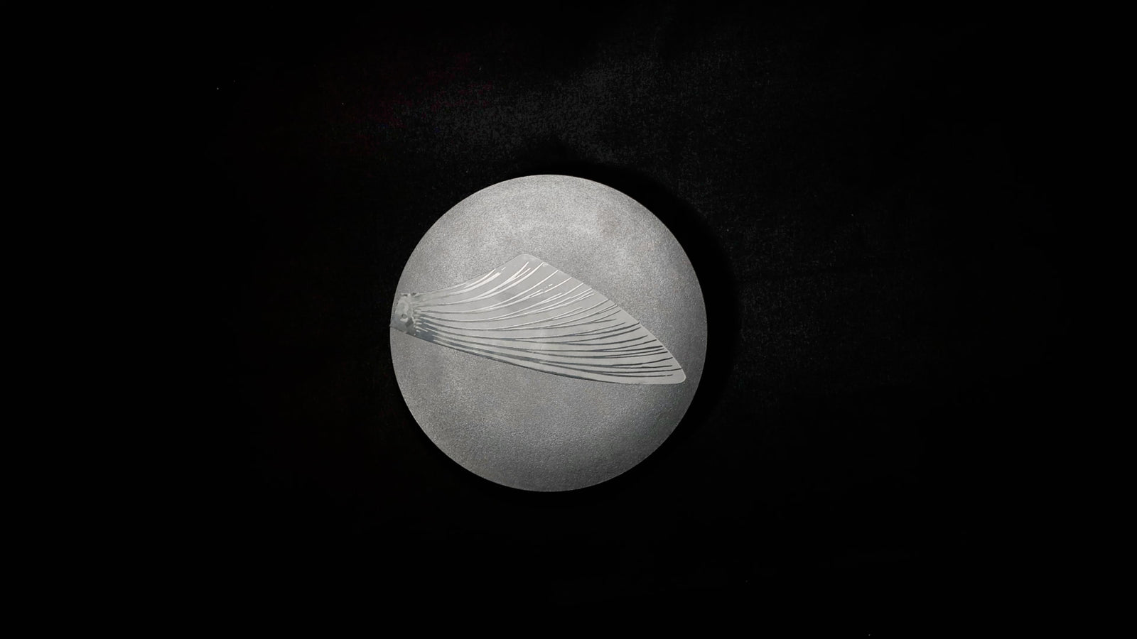SeaMonster replacement wings – detail view
