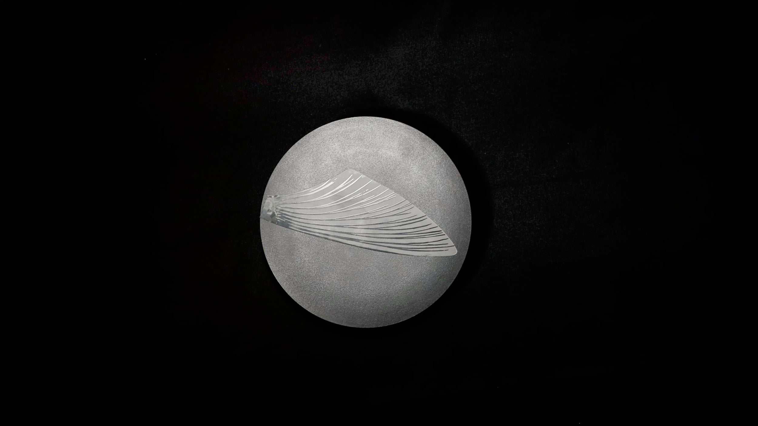 SeaMonster replacement wings – detail view