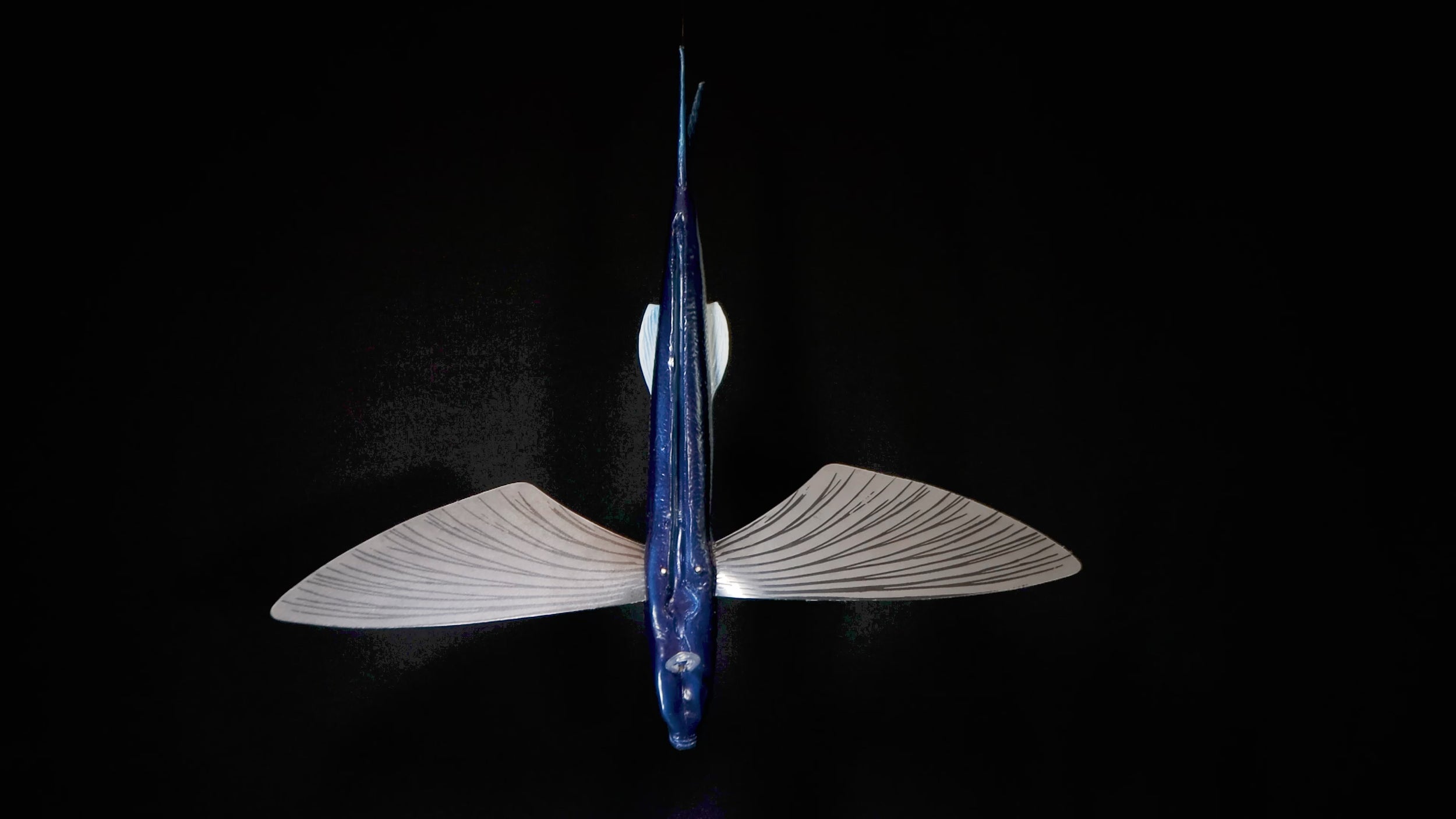 SeaMonster Flying Fish lure – Photoroom product shot